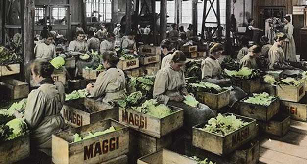 1882_Maggi-production.jpg 