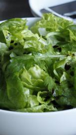 https://www.maggi.si/sites/default/files/styles/search_result_153_272/public/SEM_How_to_keep_salad_greener_longer_0.JPG?itok=mEtXU8wI