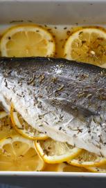 https://www.maggi.si/sites/default/files/styles/search_result_153_272/public/SEM_Seafood.JPG?itok=pLDYqGo1